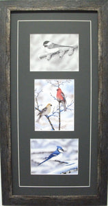 Winter Bird Vertical Trio