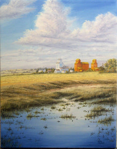 Prairie Skyline Stretched Canvas by Dan Reid