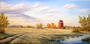 Harvest Tones Stretched Canvas by Dan Reid