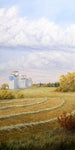 Bountiful Harvest Stretched Canvas by Dan Reid