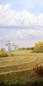 Bountiful Harvest Stretched Canvas by Dan Reid