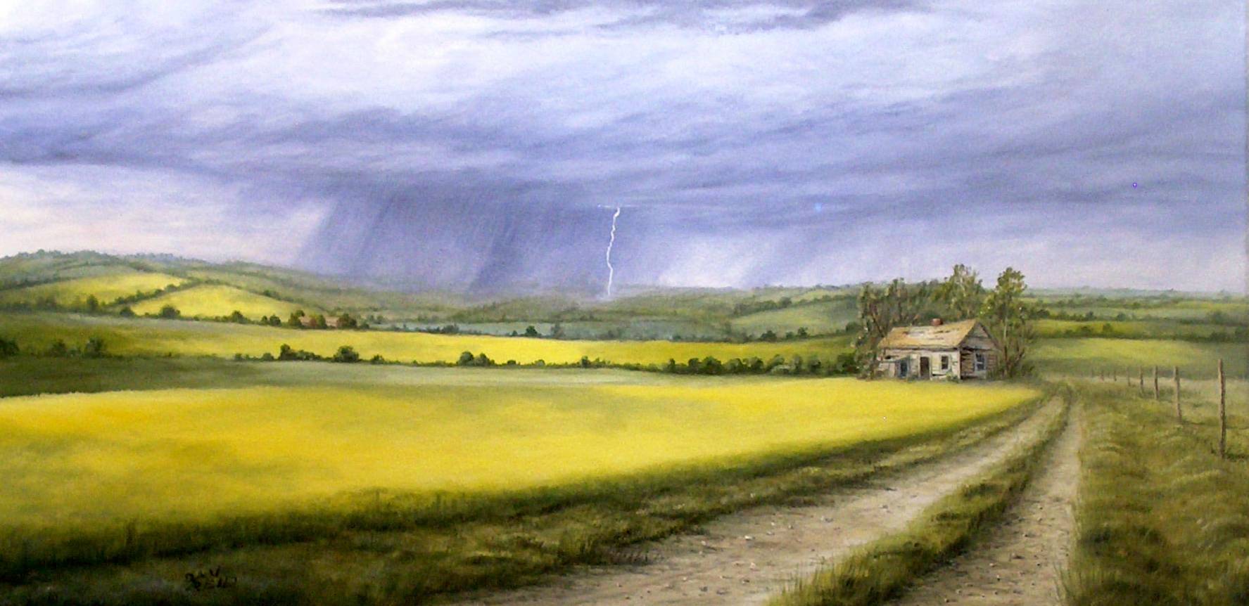 Canola Fields Stretched Canvas by Dan Reid