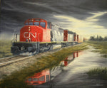 Running the Storm by Dan Reid