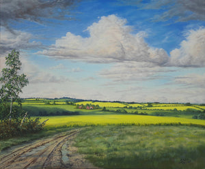 Canola Stretched Canvas by Dan Reid