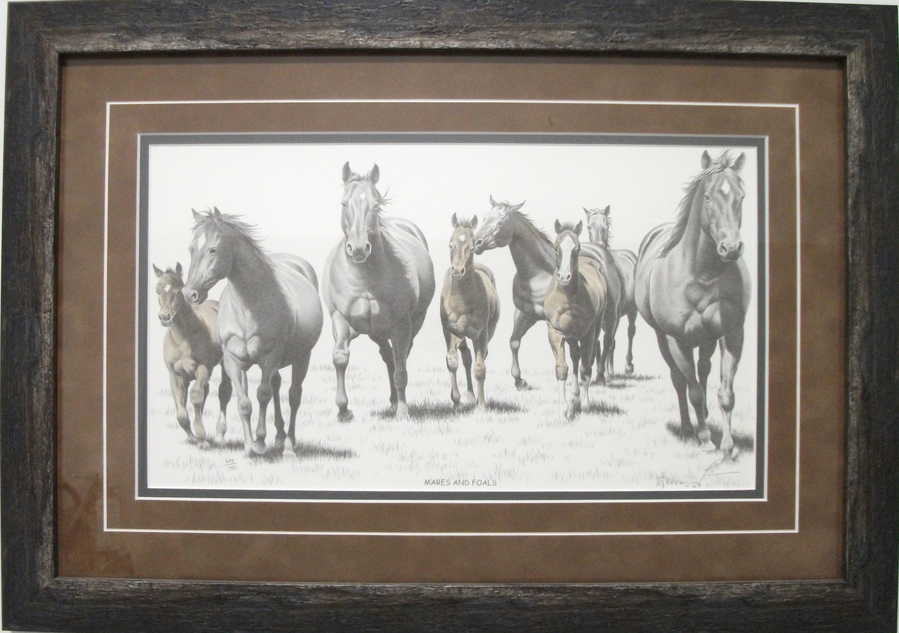 Mares and Foals by Bernie Brown