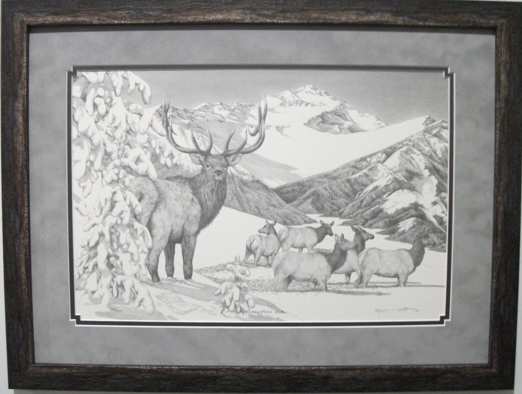 Rocky Mountain Elk by Bernie Brown