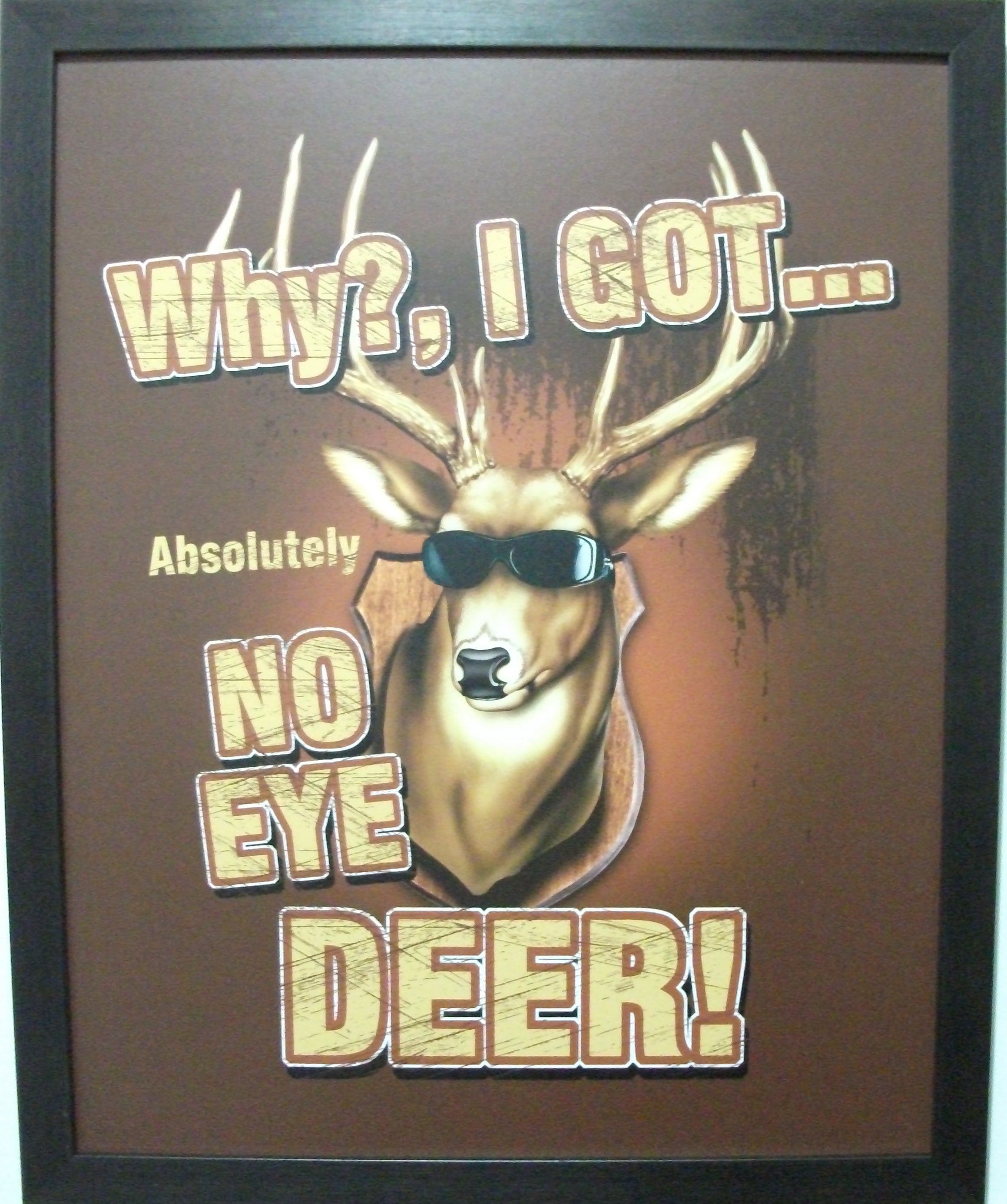 Why I Got Absolutely No Eye Deer